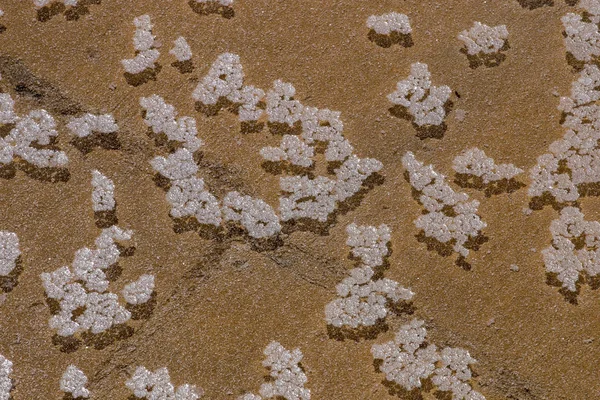 Formação de flores de sal — Fotografia de Stock