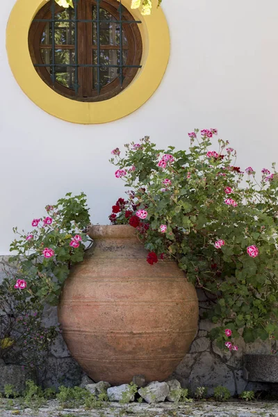 Glina Duża miejski kwiat wazon — Zdjęcie stockowe
