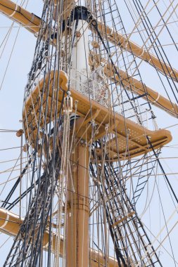 Yelkenli boylu soylu Yelkenliler