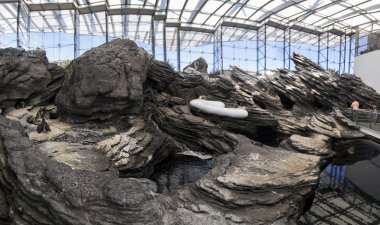 Lizbon, Portekiz: 22 Temmuz, 2016 - Oceanarium alan soğuk 