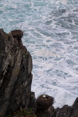 Cabo Sardao kıyı şeridi