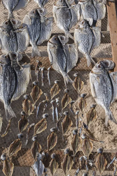 Snabbtorkande fisk i Nazare — Stockfoto