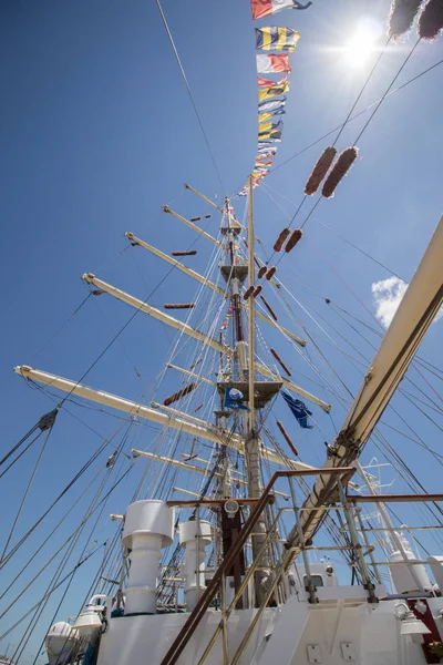 Tall ships med segel — Stockfoto