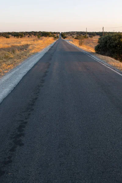 Strada di campagna in Alentejo — Foto Stock