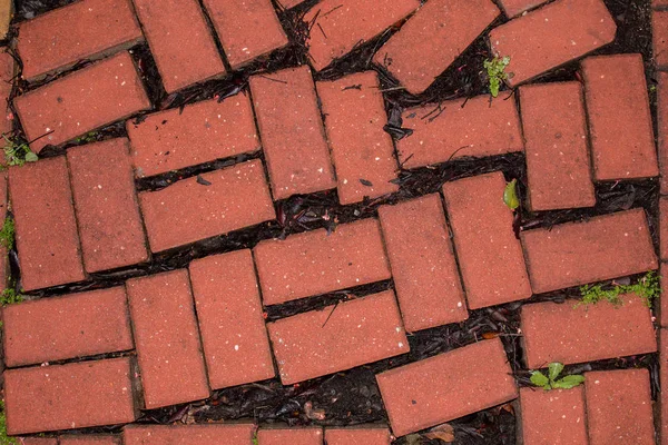 Red brick pavement texture — Stock Photo, Image