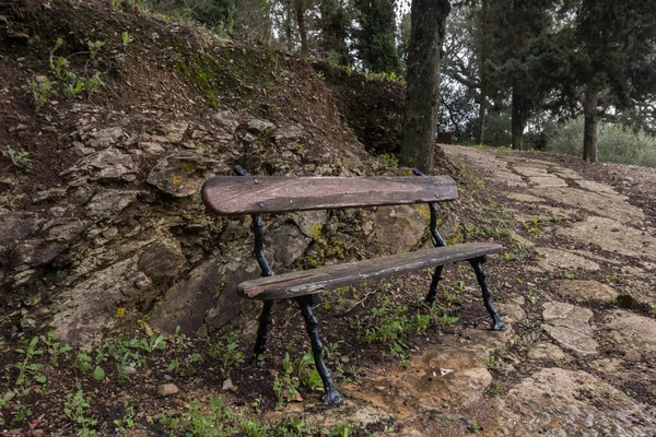 Caminho em um parque natural — Fotografia de Stock