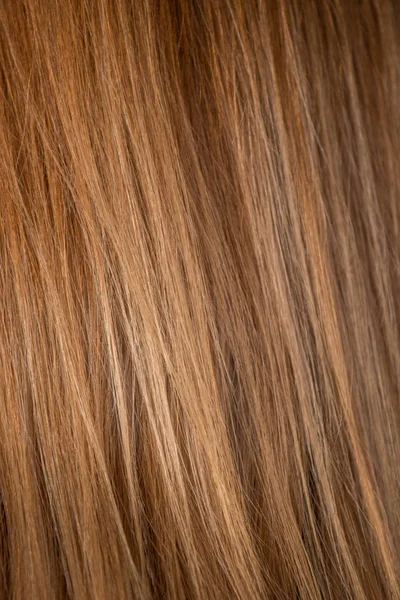 Φυσικό θηλυκά καστανόξανθα μαλλιά — Φωτογραφία Αρχείου
