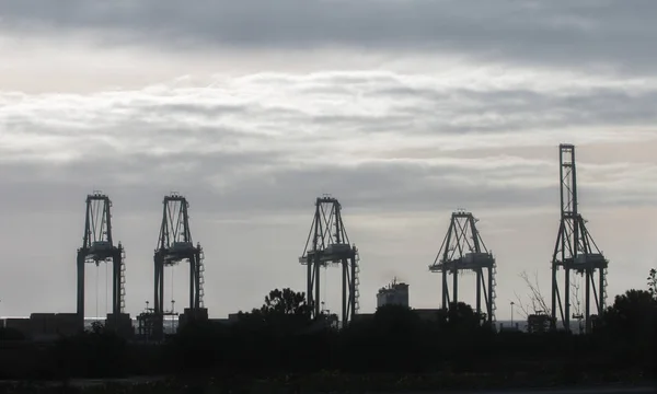 Cargo container cranes — Stock Photo, Image