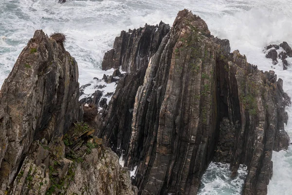 Cabo Sardao kusten — Stockfoto