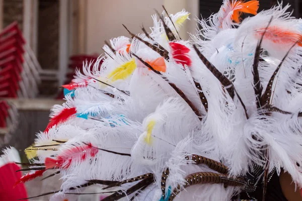 Färgglada fjädrar på karneval — Stockfoto