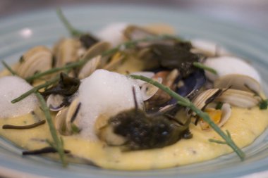 Cryo tabak istiridye ile