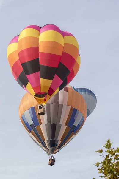 Hemelvaart van hete lucht ballonnen festival — Stockfoto