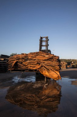 çatal kaldırıcı taşıtlar kazık cork