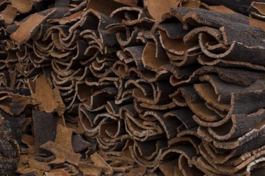 istifleme ham mantar plakalar