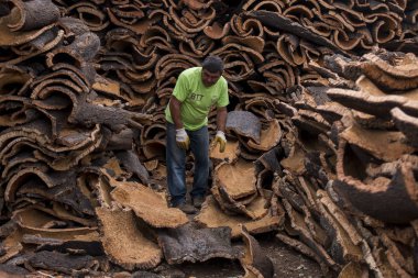 işçi ham mantar plakalar ayıran