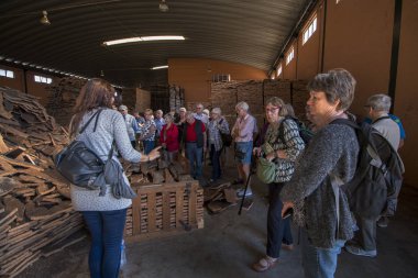 Cork fabrika turist ziyaret