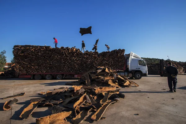 Heavy truck transporting cork — Stock Photo, Image