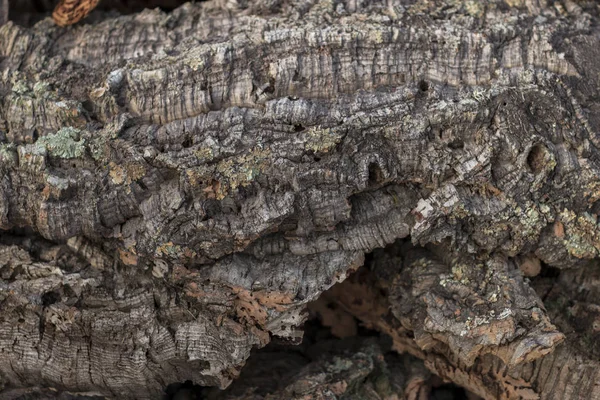 Rohe Textur der Korkplanken — Stockfoto