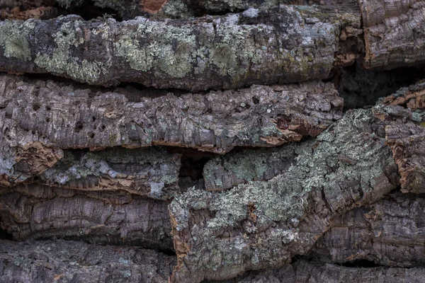 Textura da prancha de cortiça crua — Fotografia de Stock