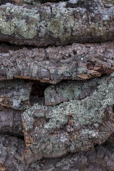 Textura da prancha de cortiça crua — Fotografia de Stock