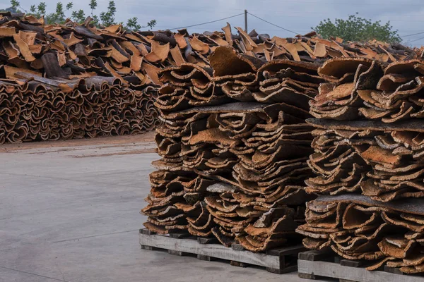 Raw cork planks stacking — Stock Photo, Image