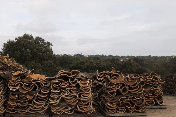 Raw cork planks stacking — Stock Photo, Image