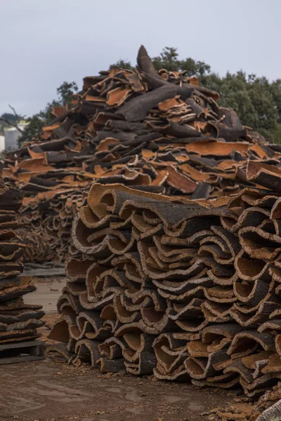 Raw cork planks stacking — Stock Photo, Image