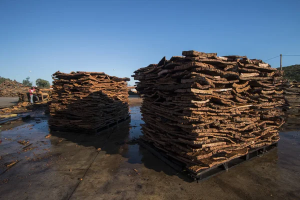 Boiled cork planks stacking — Stock Photo, Image