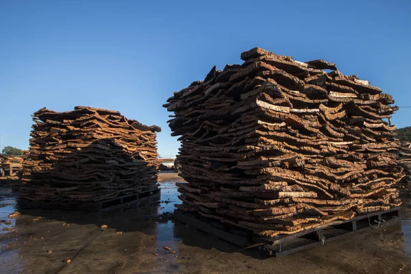 Boiled cork planks stacking — Stock Photo, Image