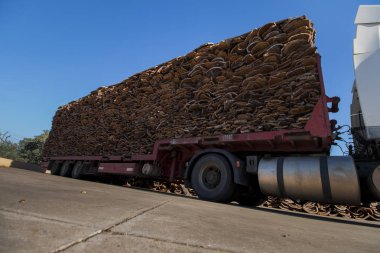 ağır kamyon Cork taşıma