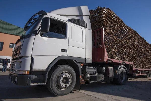 Zware vrachtwagen transport van kurk — Stockfoto