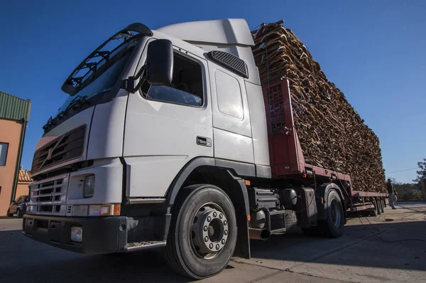 Heavy truck transporting cork — Stock Photo, Image