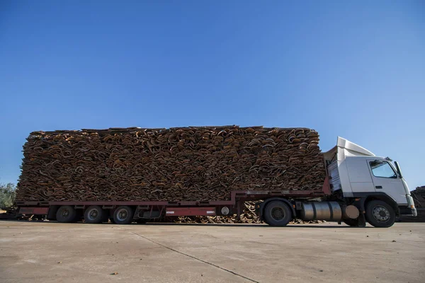 Heavy truck transporting cork — Stock Photo, Image