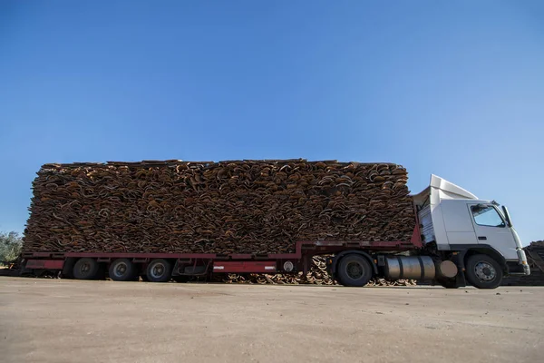 Heavy truck transporting cork — Stock Photo, Image