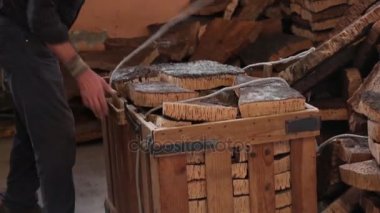 Sao sütyen De Alportel, Portekiz - 14 Kasım 2016 - bir fabrika işçisi tarafından cork ayrılması işleminin görünümü.