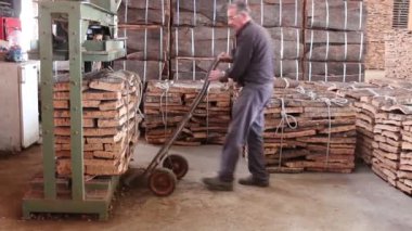 Sao sütyen De Alportel, Portekiz - 14 Kasım 2016 - cork bale bir mantar fabrikası tuşuna basarak işlemi görünümünü.