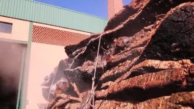 Sao sütyen De Alportel, Portekiz: 14 Kasım, 2016 - cork sadece dışarı fabrika dış içinde buhar kazan dairesi yığını.