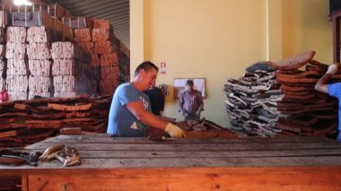 Sao sütyen De Alportel, Portekiz: 14 Kasım, 2016 - işçi mantar panolar kaliteli ve boyut karşılaştırma için ayrı