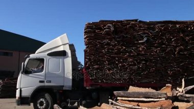 Sao sütyen De Alportel, Portekiz: 14 Kasım, 2016 - cork taşıma bir ağır kamyon fabrikada geldi..
