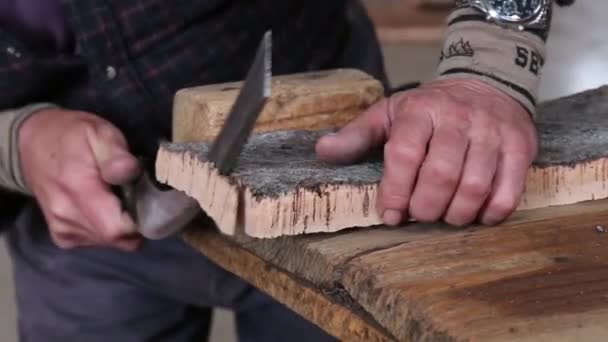 Sao sütyen De Alportel, Portekiz: 14 Kasım 2016: cork kalite güvencesi için dilimleme bir işçinin görünümü. — Stok video