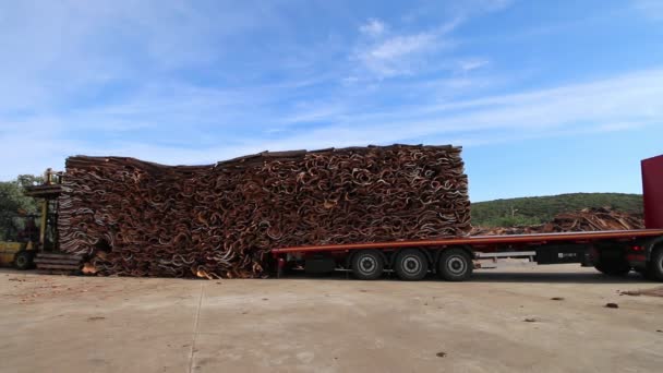 骚胸罩 De Alportel，葡萄牙︰ 2016 年 11 月 14 日-工人卸载软木厂重型卡车运输 — 图库视频影像