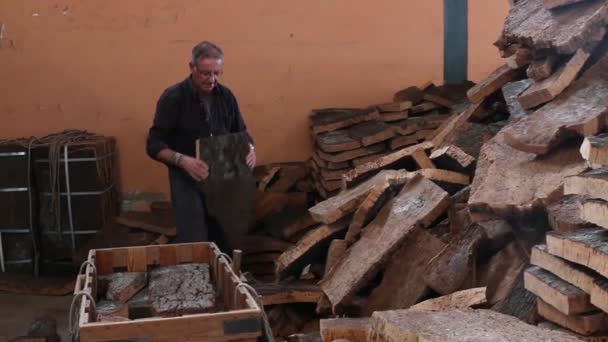 Sao bras de alportel, portugal - 14. November 2016 - Blick auf den Prozess der Korktrennung durch einen Arbeiter in einer Fabrik. — Stockvideo