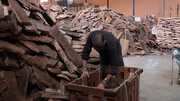 SAO BRAS DE ALPORTEL, PORTUGAL - 14 NOV 2016 - Vista del proceso de separación del corcho por un trabajador en una fábrica . — Vídeo de stock