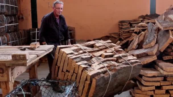SAO BRAS DE ALPORTEL, PORTUGAL - 14 NOV 2016 - El trabajador organiza fardos de corcho en una fábrica de corcho . — Vídeo de stock