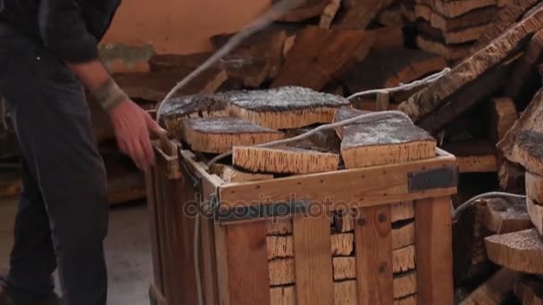 SAO BRAS DE ALPORTEL, PORTUGAL - 14 NOV 2016 - Vista del proceso de separación del corcho por un trabajador en una fábrica . — Vídeo de stock