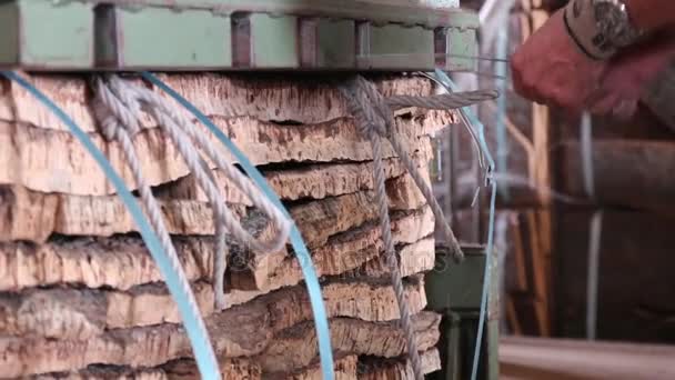 САО Бюстгальтери De Alportel, Португалія - 14 листопада 2016 - працівник посилює Корк тюки на hidraulic Преса про Корку заводу. — стокове відео