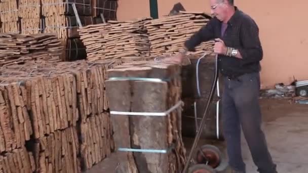 Sao sütyen De Alportel, Portekiz - 14 Kasım 2016 - cork bale bir mantar fabrikası tuşuna basarak işlemi görünümünü. — Stok video