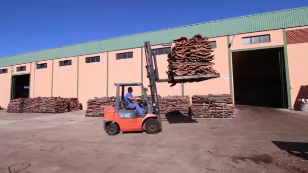 Sao Bras De Alportel, Portugal transporterar - 14 Nov 2016 - gaffel lyftare kork till inne i fabriken. — Stockvideo