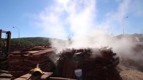 SAO BRAS DE ALPORTEL, PORTUGAL - 14th NOV 2016 - View of the process of cork boiling on a factory. — Stock Video