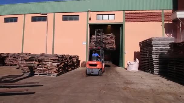 SAO BRAS DE ALPORTEL, PORTUGAL - 14 NOV 2016 - lifter furculiță transportă plută în interiorul fabricii . — Videoclip de stoc